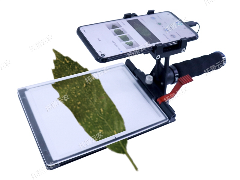 活體葉面積測(cè)量?jī)x YMJ-D