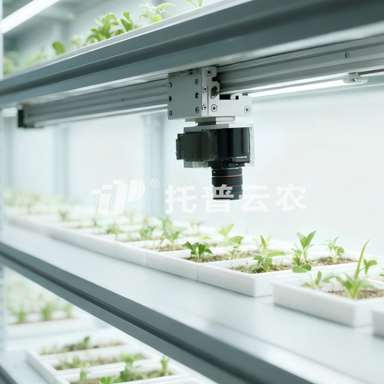 室內(nèi)種子萌發(fā)表型監(jiān)測系統(tǒng)